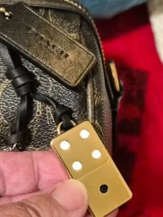 Coach Rowan Satchel Bag In Loved Signature Canvas With Charms CDY16 - BNWT - - Picture 13 of 17